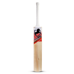 Kashmir Willow ACADEMY Bats