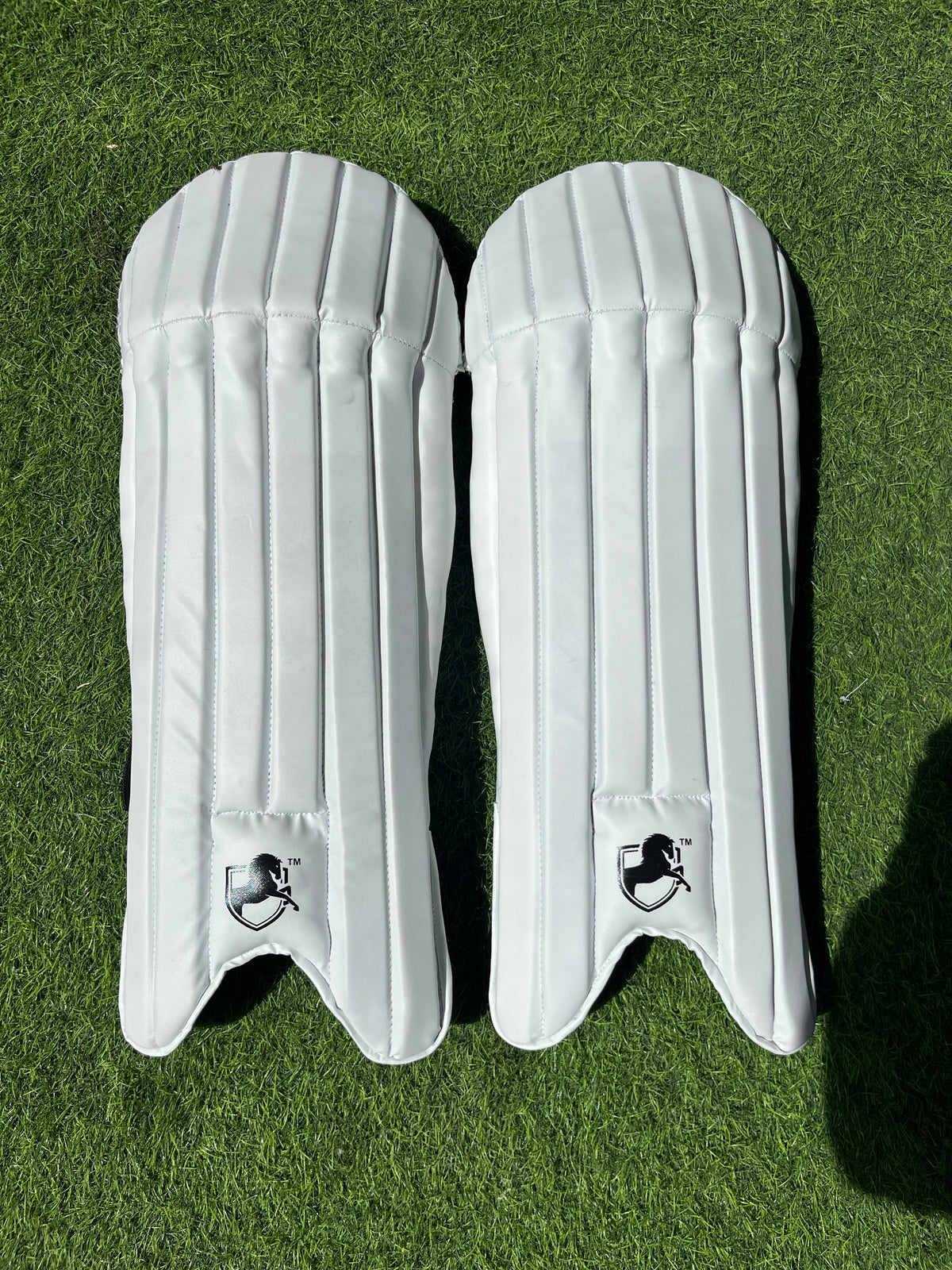 ACADEMY KEEPING LEG GUARD (WHITE)