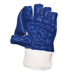 Academy Keeping Gloves - Blue