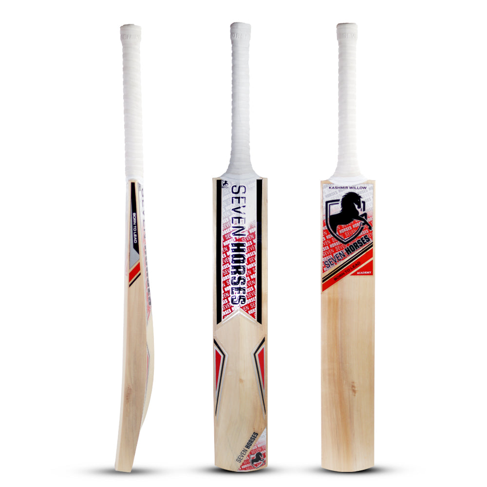 Kashmir Willow ACADEMY Bats